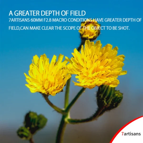 لنز دوربین سون آرتیزانس مدل 60mm F/2.8 For Sony E